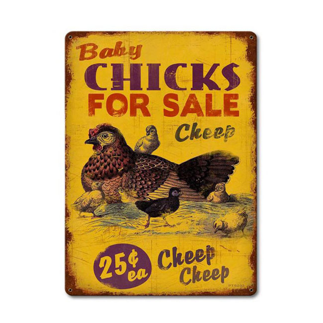 Chicks Cheep Sign